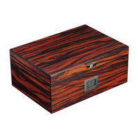 50 CT Ebony Cigar Humidor Box for Cigars Cigar Boxes Clinks